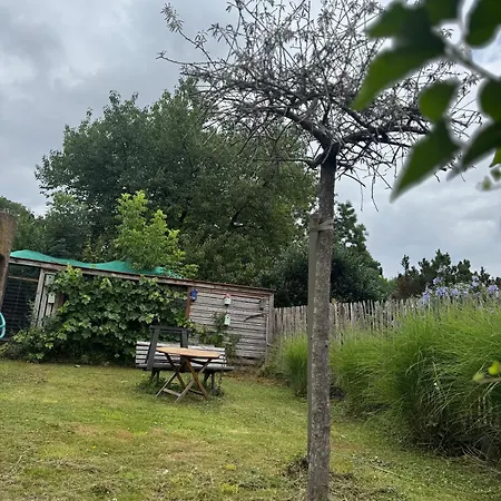 Kunterbunt 2 Europapark Rulantica Straßbourg Hohberg